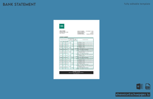 Beispiel-Excel-Vorschau eines Kontoauszugs der Malediven HBL